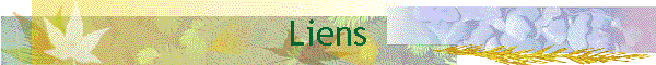Liens