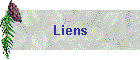 Liens