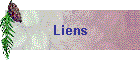 Liens