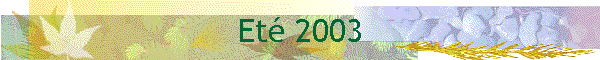 Et 2003