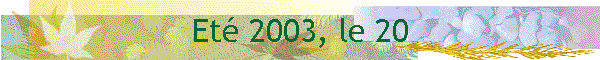 Et 2003, le 20