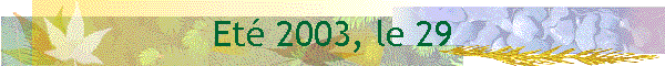Et 2003, le 29