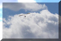 Un ULM accompagn escort par des oiseaux (dsol pour la qualit, ils taient un peu loin).