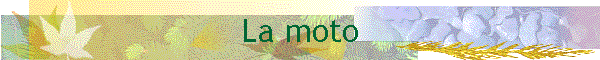 La moto