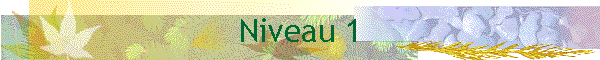 Niveau 1