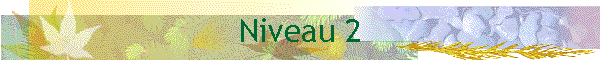 Niveau 2