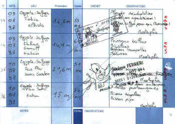 Page 11 du carnet