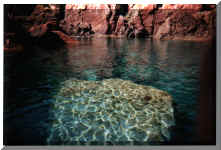 corse_5.jpg (94242 octets)