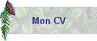 Mon CV